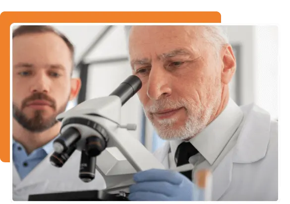 ToneVit  result no.1